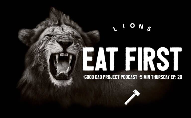 lions eat first