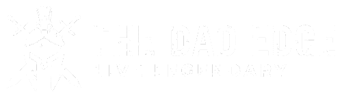 DadEdge Logo White